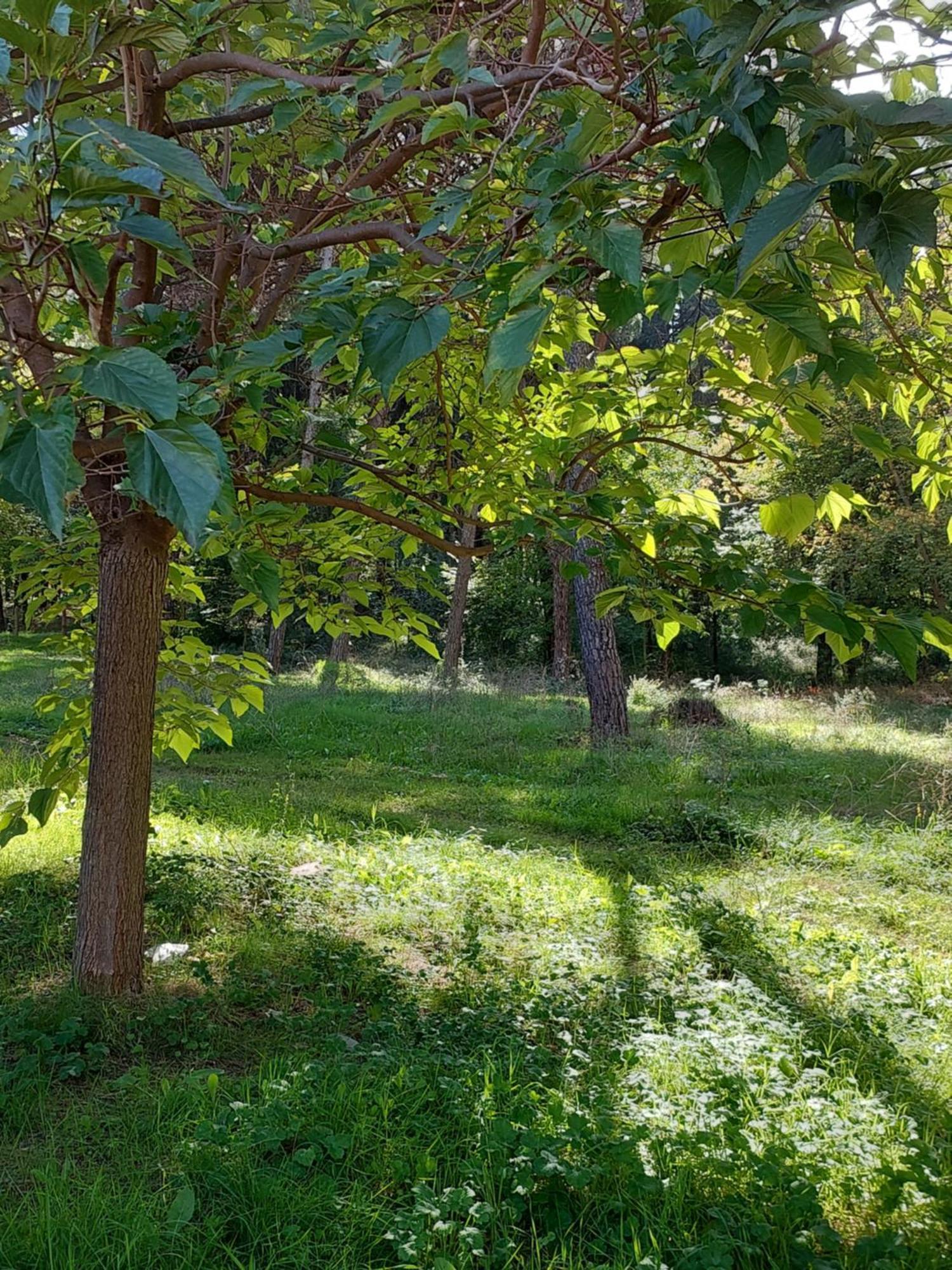A'Studio Tirana Kültér fotó
